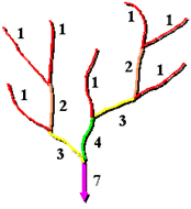 Shreve stream ordering method